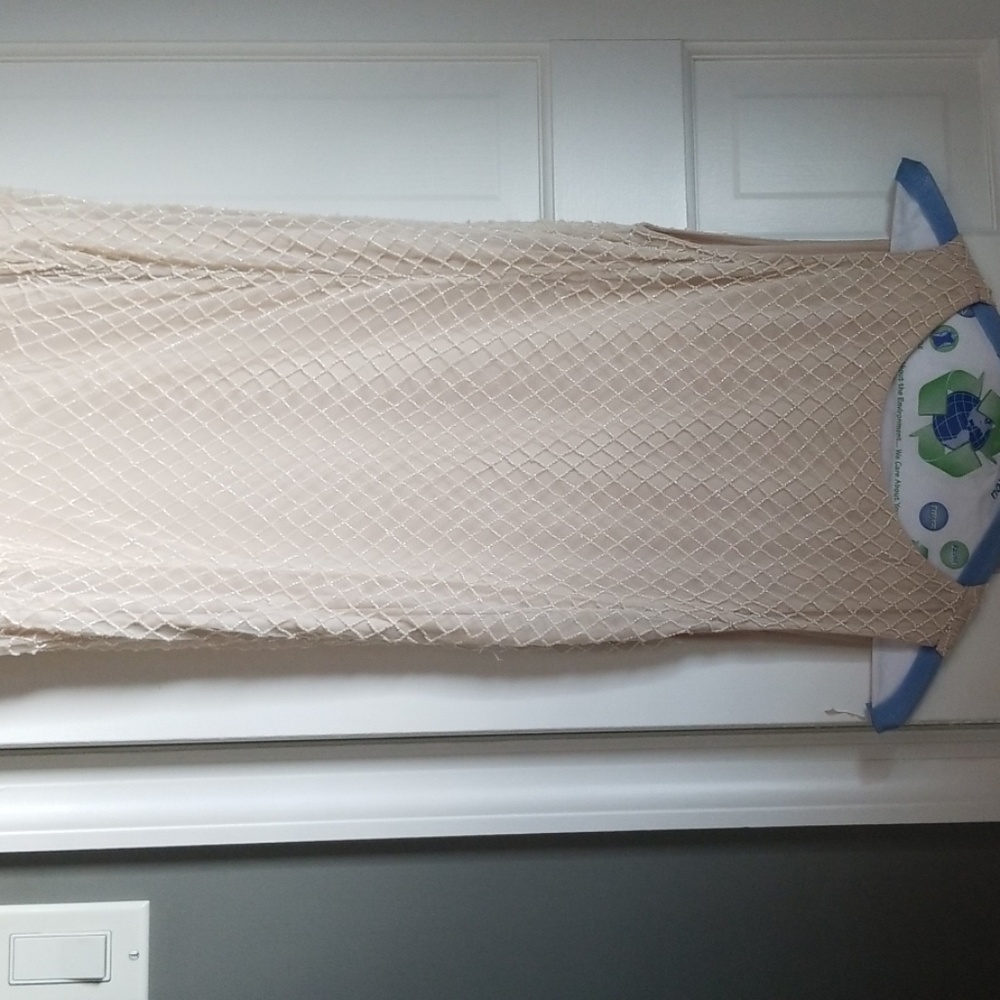 alic and olivia gown